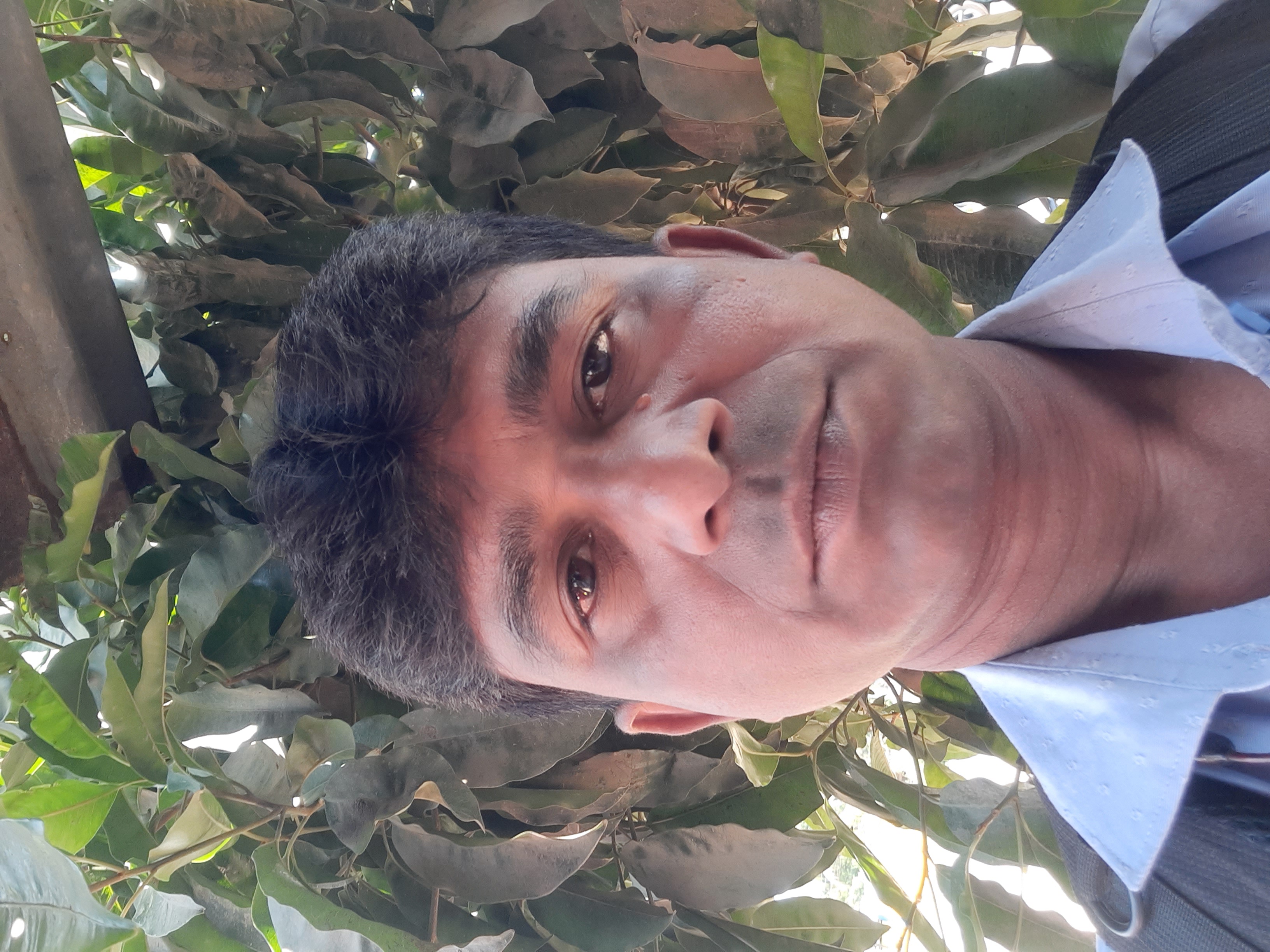 Member