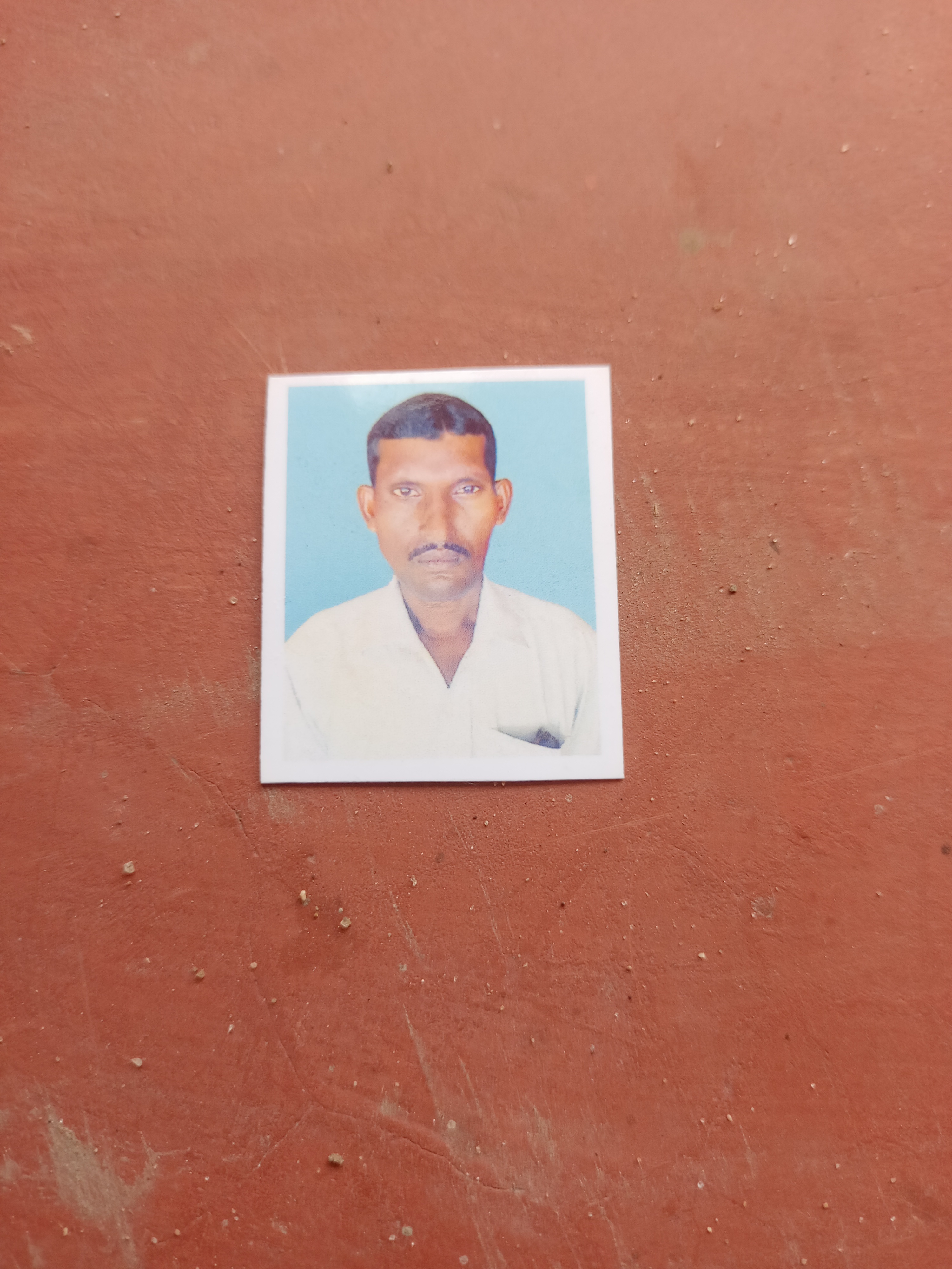 Member