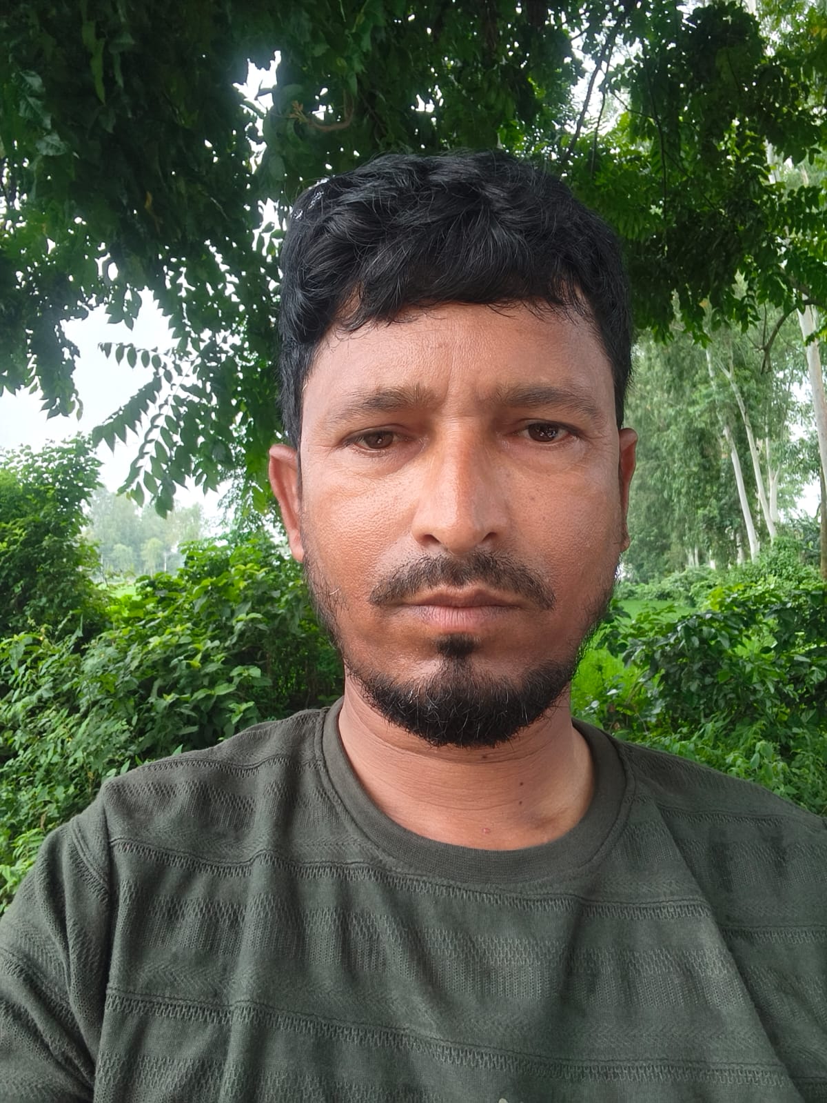 Member